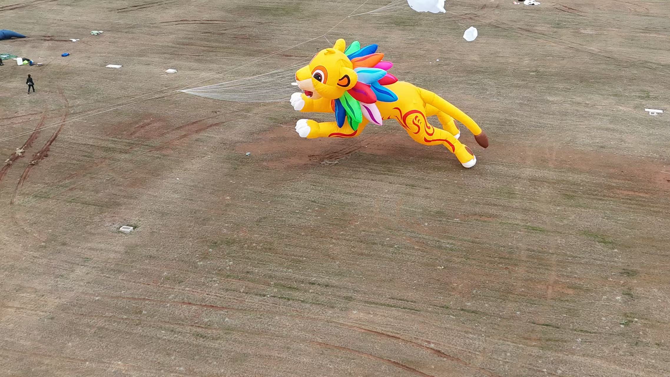五指山市品牌风筝定制风筝商业放飞 - 一站式服务