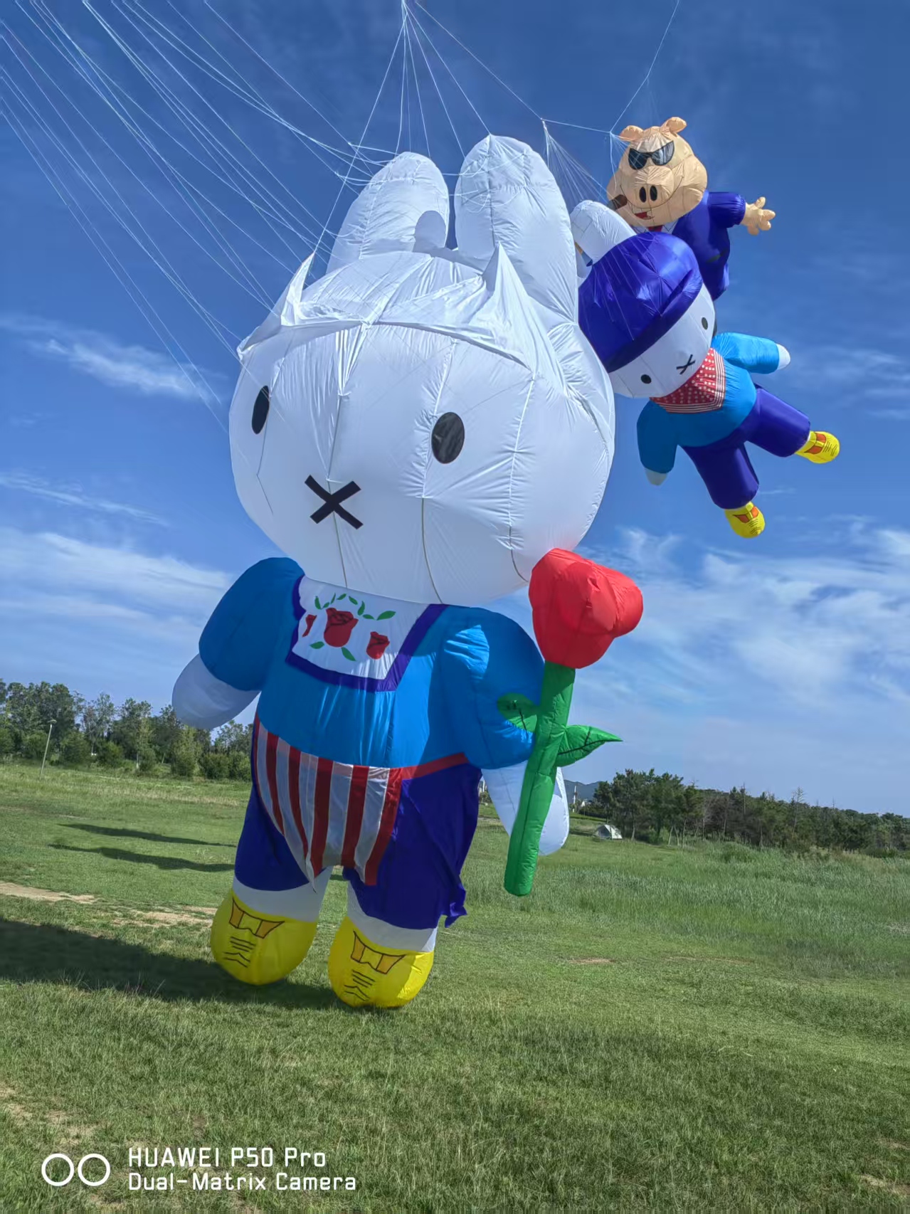 五指山市儿童风筝定制宣传风筝定制 - 排名