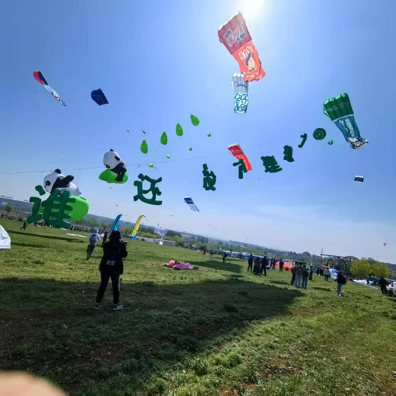 五指山市风筝放飞活动策划风筝定制 - 哪里好